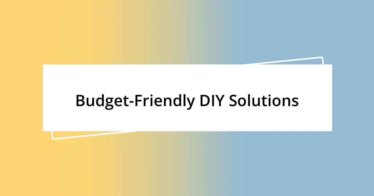 Budget-Friendly DIY Solutions